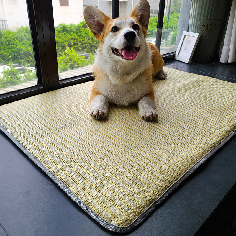 Dog Mat Sleeping With Pet Mat Summer Mat Anti Bite Mattress Cat Non Stick Hair Ice Mat Dog Mat