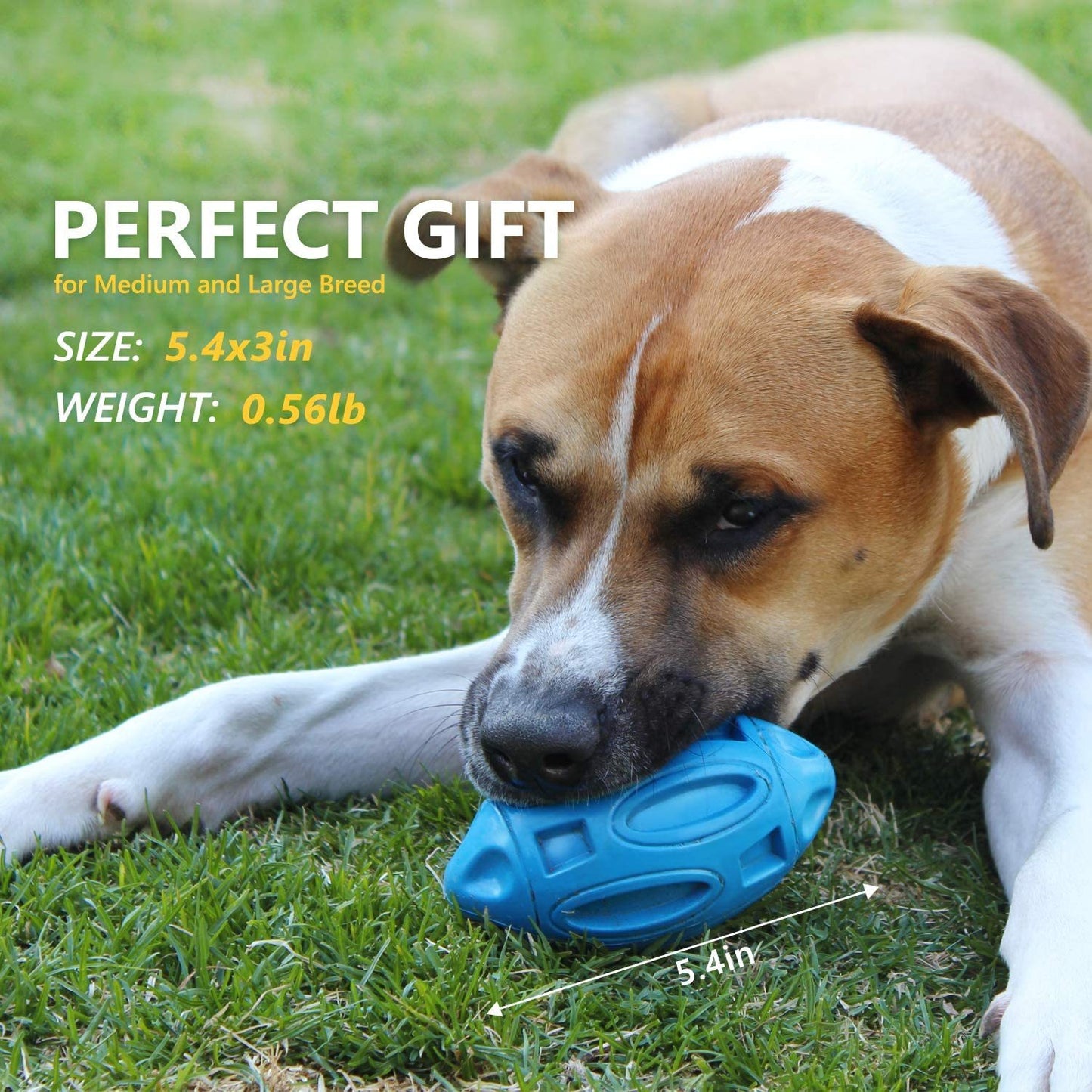 Pet Supplies Dog Toys Rubber Sounding Rugby Wear-Resistant Bite-Resistant Sounding Dog Ball